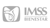 imss-bienestar-horizontal-logo-png_seeklogo-611144